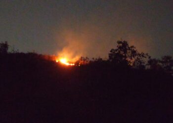 रोहा तालुक्यातील डोंगराना वणवेच वणवे