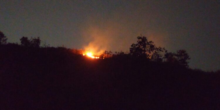 रोहा तालुक्यातील डोंगराना वणवेच वणवे