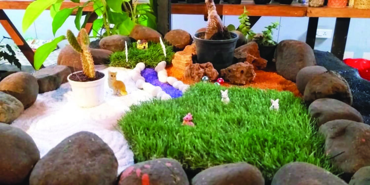 घराची शोभा वाढवतोय मिनिएचर गार्डन