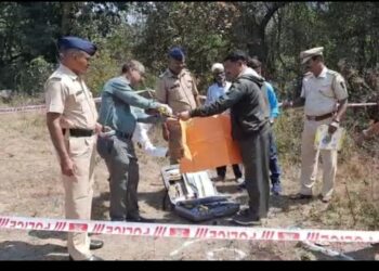 धारदार शस्त्राने महिलेचा खून