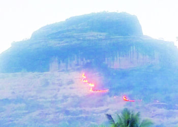 रायगडमधील नैसर्गिक तथा ऐतिहासिक संपदेची होरपळ