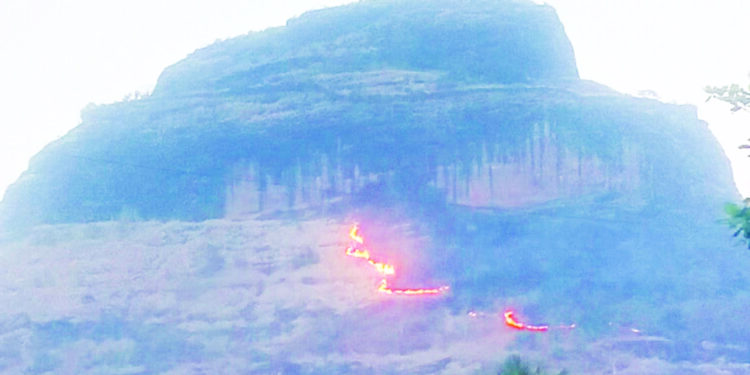 रायगडमधील नैसर्गिक तथा ऐतिहासिक संपदेची होरपळ