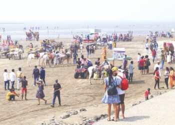 रायगडचे किनारे पुन्हा बहरले