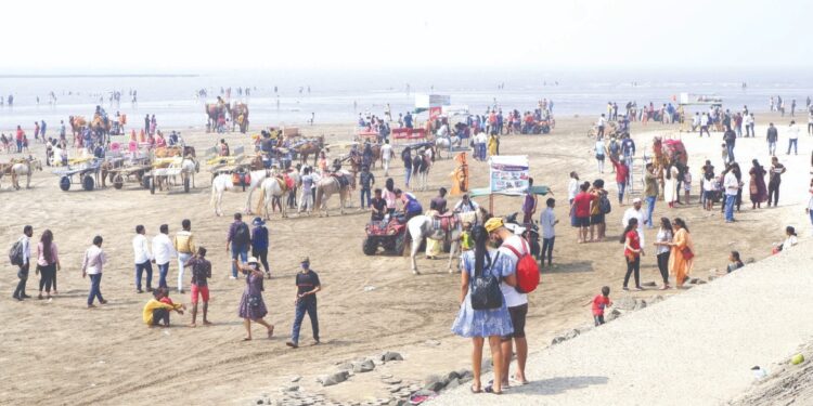 रायगडचे किनारे पुन्हा बहरले