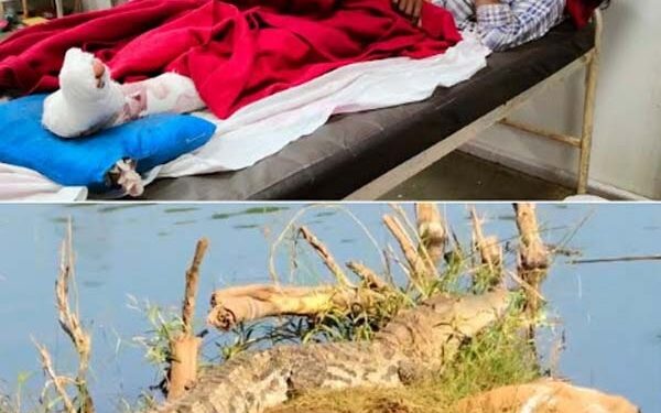 माणगाव काळनदीच्या पात्रात रात्रीची मासेमारी करणाऱ्यावर मगरीचा हल्ला