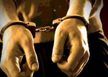 सराईत चोर गजाआड