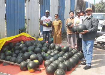 रोह्याच्या कलिंगडांना उरणमध्ये मागणी