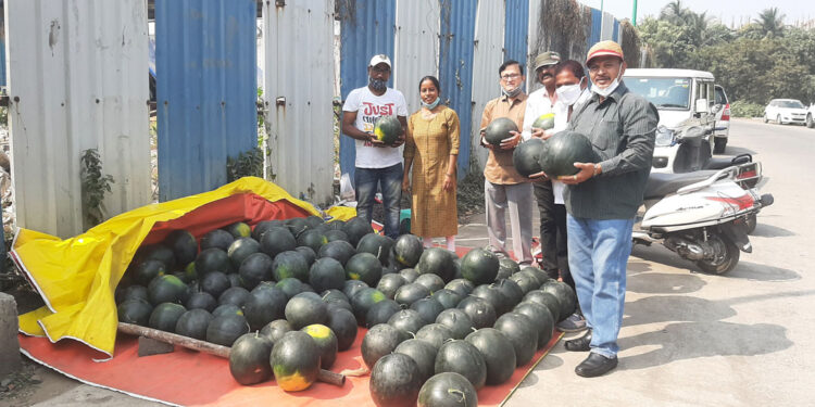 रोह्याच्या कलिंगडांना उरणमध्ये मागणी