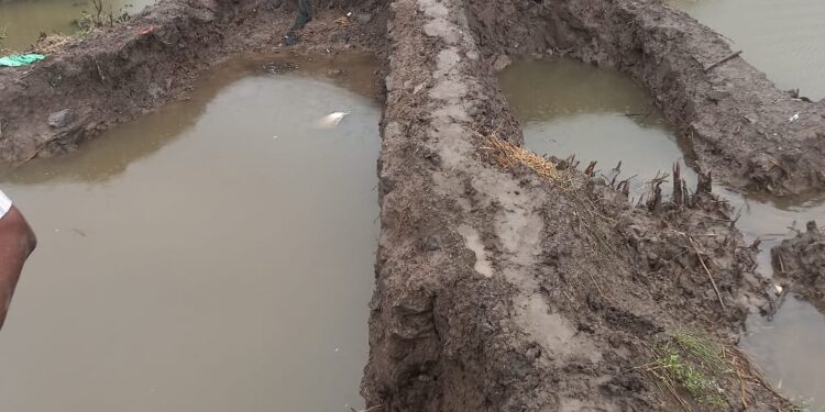 शेकडो हेक्टर जमीन खार्‍यापाण्याखाली