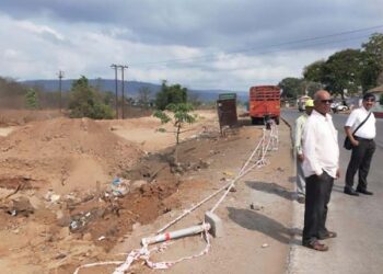 महामार्ग चौपदरीकरणात हजारो वृक्षांची कत्तल