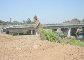 पेणमधील अनधिकृत बांधकामांवर कारवाई नाही