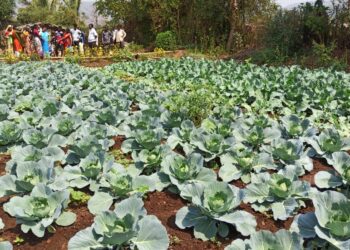 उपक्रमशील शेतीचे आदिवासींना धडे