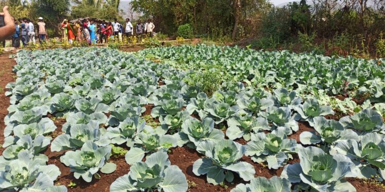 उपक्रमशील शेतीचे आदिवासींना धडे