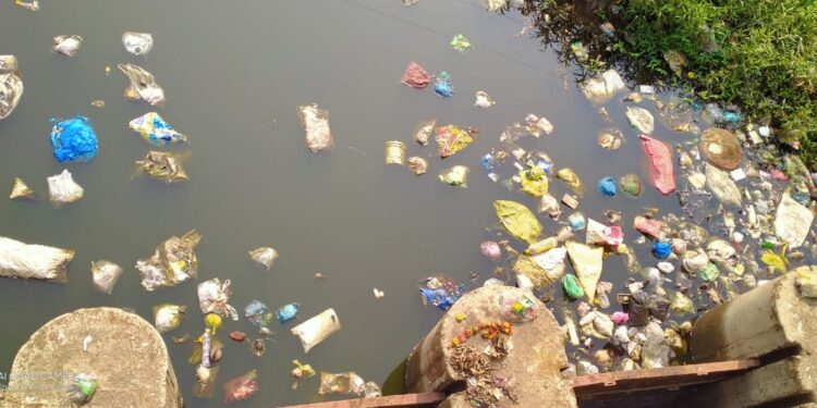 उल्हास नदी गाळ, कचरामुक्त करा; निर्मलजल अभियानाची मागणी