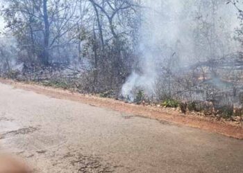श्रीवर्धनमधील म्हाब्धा घाटातील जंगलात वणवा