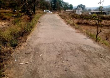बेडीसगाव-वाघिणीचीवाडी रस्ता पूर्ववत करा