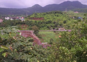 कर्जत तालुक्यात वणव्यांची मालिका सुरूच ; निसर्गप्रेमी नागरिकांचे स्वखर्चाने वृक्षारोपण