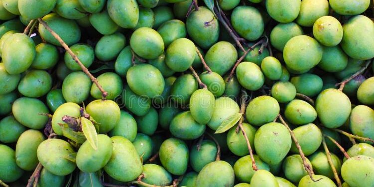 ऊन, पावसाच्या खेळात शेती व्यवसाय धोक्यात !