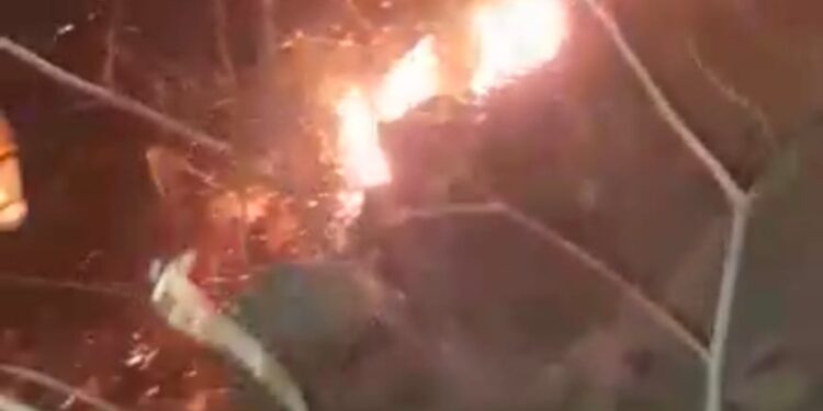 कनकेश्वर डोंगरावर वणवा भडकला