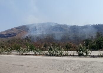 सुकेली खांबचा डोंगर वणव्यांनी होरपळतोय