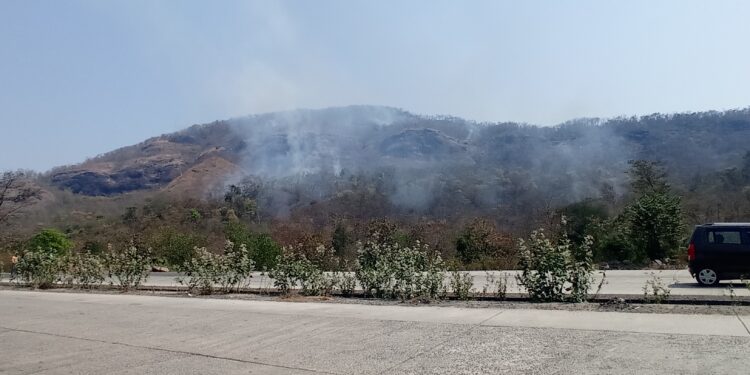 सुकेली खांबचा डोंगर वणव्यांनी होरपळतोय