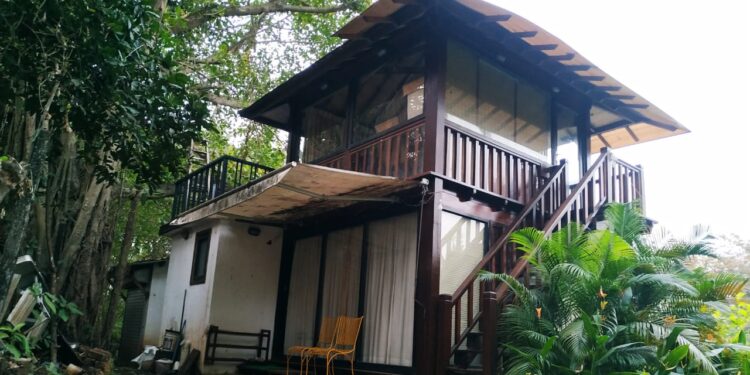 कृषीवल दणका! आवास सरपंचाने रातोरात हटविले अनधिकृत घर