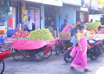 उन्हाच्या चटक्याने सारेच हैराण