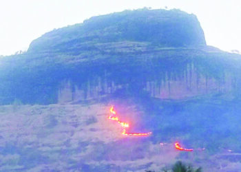 पालीतील सरसगडाची होरपळ