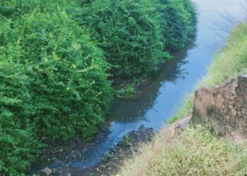 पालीकरांचे आरोग्य धोक्यात