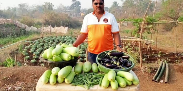 तरूणांची शेती व्यवसायाकडे वाटचाल