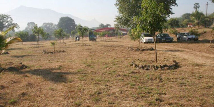 उरण, पनवेल, पेणमधील शेतकर्‍यांचे सुनावणीकडे लक्ष