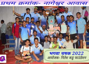 धोकवडे क्रिकेट स्पर्धेत नागेश्‍वर आवास विजयी
