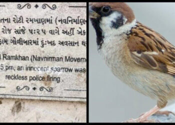 जागतिक चिमणी दिवस साजरा