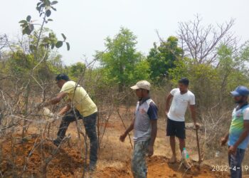 जागतिक वसुंधरा दिनानिमित्त वृक्षलागवड