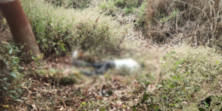 नेरळ- कळंब रस्त्यावर ४१ वर्षीय तरुणाचा अपघात