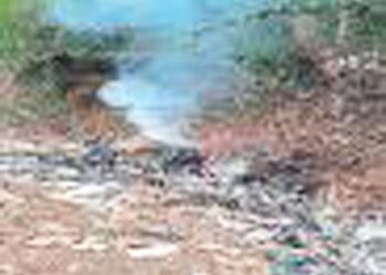 आंबोली घाटात कचऱ्याचे साम्राज्य