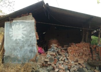 रायगडाला लहरी हवामानाचा तडाखा