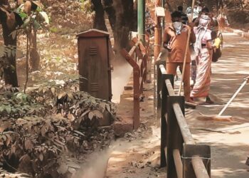 एमएमआरडीएच्या कामात राबताहेत नगरपरिषदेचे कामगार