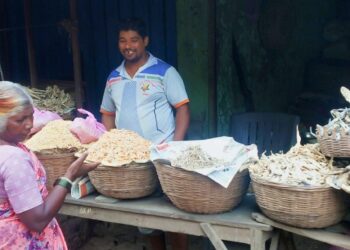 सुक्या मासळीचे भाव वधारले