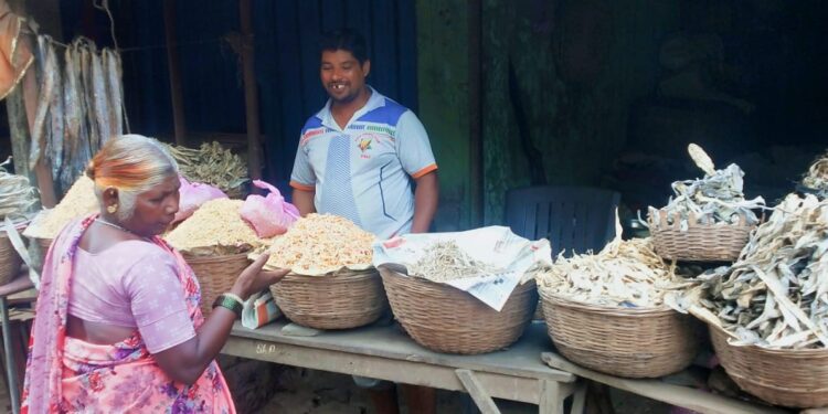 सुक्या मासळीचे भाव वधारले