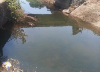 कृषीवल इम्पॅक्ट; कालव्यात आले पाणी: पाटबंधारेखाते वठणीवर !