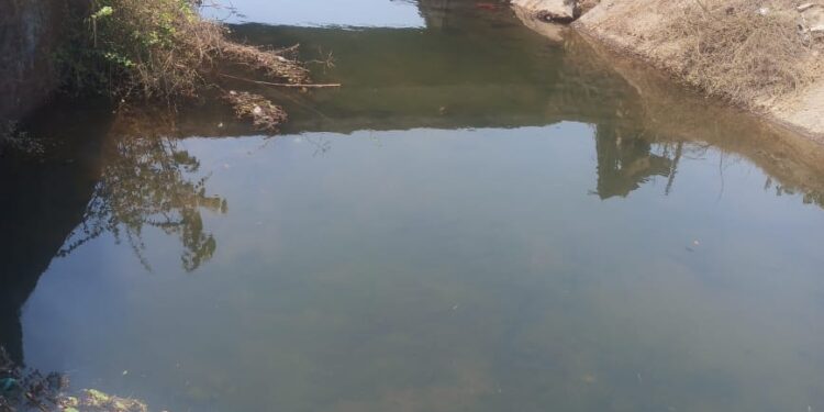 कृषीवल इम्पॅक्ट; कालव्यात आले पाणी: पाटबंधारेखाते वठणीवर !