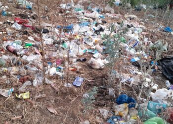 अंबा नदीपात्र की डम्पिंग ग्राउंड?