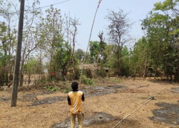पालघर विभागात हटवले 1021 आकडे