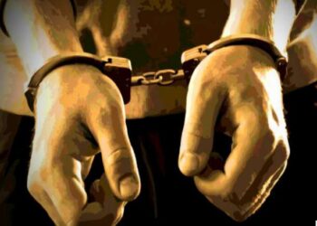 पैशाची व्हॅन घेवून पसार झालेला आरोपी गजाआड