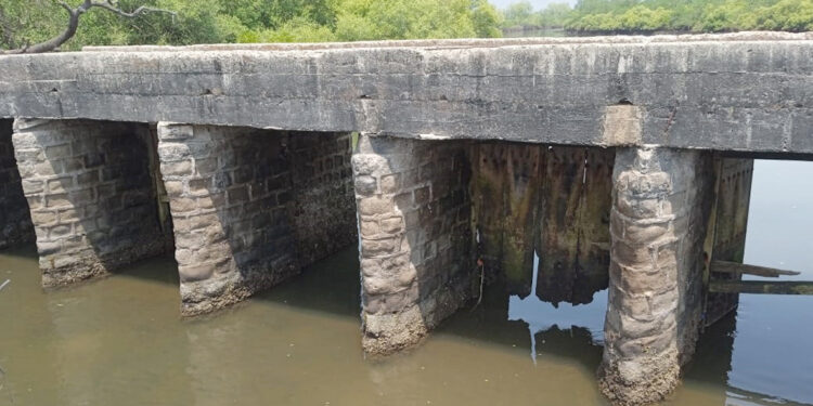 यशवंत खारभूमीचे दरवाजे नामशेष होण्याच्या मार्गावर