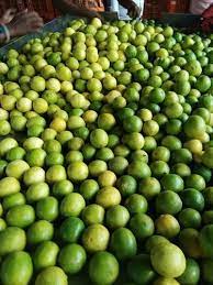 लिंबूचे भाव कडाडले