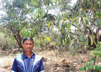 हवामानातील बदलामुळे यंदा आंबा अधिकच आंबट