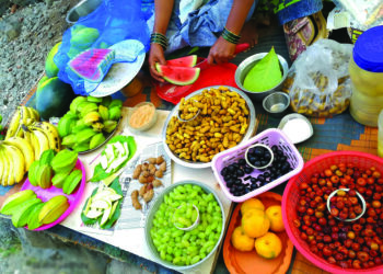 रणरणत्या उन्हात रानमेव्याची भुरळ