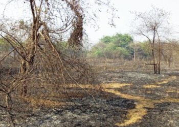 रिलायन्सच्या गॅस स्टेशननजीक आग ; आरसीएफ जवानांच्या तत्परतेमुळे टळला धोका